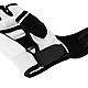 Rukavice na taekwondo DBX BUSHIDO DBX-T-1
