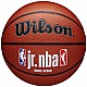 Basketbalová lopta Wilson JR NBA Logo Indoor Outdoor WZ2009801XB7