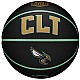 Wilson NBA Team City Collector Charlotte Hornets Ball WZ4016404ID