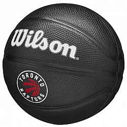 Wilson Team Tribute Toronto Raptors Mini Ball WZ4017608XB