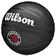 Wilson Team Tribute Toronto Raptors Mini Ball WZ4017608XB
