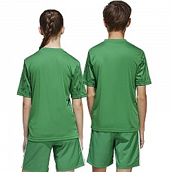 Tričko adidas Team Icon 25 JSY Jr JJ1956