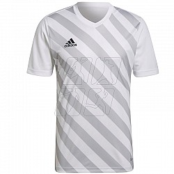 Tričko adidas Entrada 22 Graphic Jersey M HF0129