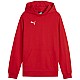 Puma Team Goal Casuals Hoddy Jr 658619 01