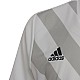 Tričko adidas Entrada 22 Graphic Jersey Jr HF0120