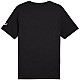 Tričko Puma Sport Graphic Tee M 684617 01
