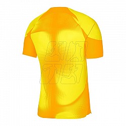 Brankársky dres Nike Dri-FIT ADV Gardien 4 M DH7760-719