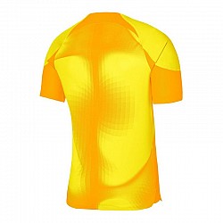 Brankársky dres Nike Dri-FIT ADV Gardien 4 M DH7760-719