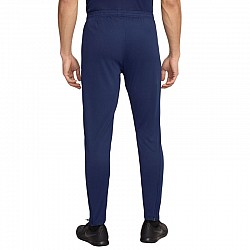 Tepláky Nike Dri-Fit Academy 25 M FZ9805 410