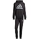 Tepláková súprava adidas Big Logo Terry Track Suit M IJ8555