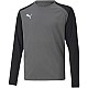 Puma teamPacer GK LS Jersey Jr 704939 43