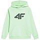 4F Jr 4FJSS23TSWSM220 42S