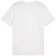 Tričko Puma Team Goal Casuals Tee M 658615 04