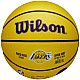 Wilson NBA Player Icon LeBron James Mini Ball WZ4027701XB