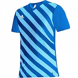Tričko adidas Entrada 22 Graphic Jersey M HF0116