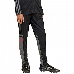 Tepláky adidas Squadra 25 Training Jr JD1628