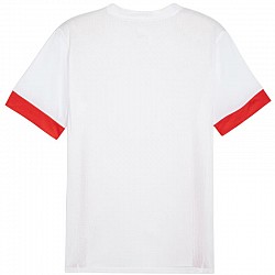 Tričko Puma teamGoal Matchday Jersey M 705747 11