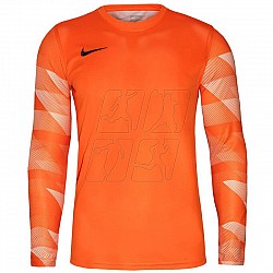Tričko Nike Dry Park IV JSY LS GK Jr CJ6072-819