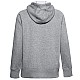 Under Armour Rival Fleece Logo Hoodie W 1356318-035