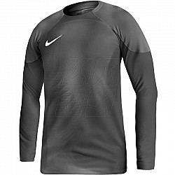 Brankársky dres Nike Gardien IV Goalkeeper JSY M DH7967 060