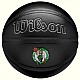 Wilson NBA Team Premiere Boston Celtics Ball WZ4026402XB