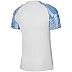 Tričko Nike Dri-FIT Academy Jsy SS M DH8031 102