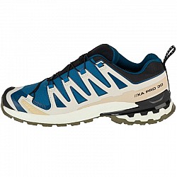 Salomon XA Pro 3D v9 GTX M L47817400