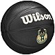 Wilson Team Tribute Milwaukee Bucks Mini Ball WZ4017606XB