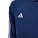 adidas Tiro 24 Sweat Hoodie Jr IR7504