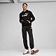 Puma ESS No.1 Logo Hoodie FL M 682570 01