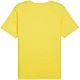 Tričko Puma teamRISE Matchday Jersey M 706132 07