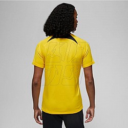 Tričko Nike PSG DF Academy Pro SS Top PM 4TH M DR4906 720