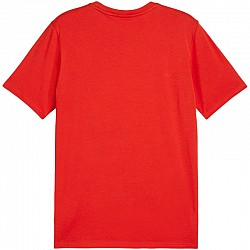 Tričko Puma Team Goal Casuals Tee M 658615 01