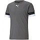 Tričko Puma teamRISE Smoked M 704932 13