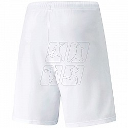 Trenky Puma teamRISE Short M 704942 03