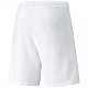 Trenky Puma teamRISE Short M 704942 03
