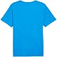 Tričko Puma teamRISE Matchday Jersey M 706132 02