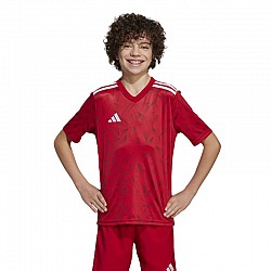 Tričko adidas Team Icon 25 Jr JM8362