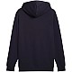 Puma ESS No.1 Logo Hoodie TR M 682572 16