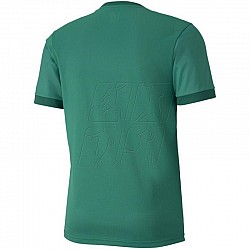 Tričko Puma teamGOAL 23 Jersey M 704171 05