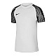 Tričko Nike Dri-Fit Academy SS M DH8031-104