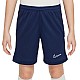 Trenky Nike Dri Fit Academy 25 Jr FZ9784 410