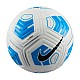 Lopta Nike Strike FZ7558-100