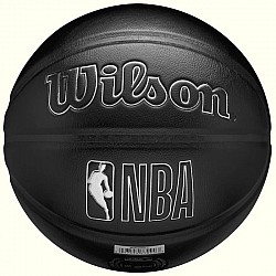 Wilson NBA Team Premiere Boston Celtics Ball WZ4026402XB