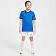 Tričko Nike Dri-Fit Academy 25 SS Jr FZ9758 463
