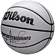 Wilson NBA Player Icon Uv Bskt Giannis WZ4030901XB