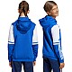 adidas Squadra 25 Sweat Hoody Jr JD4806