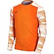 Tričko Nike Dry Park IV JSY LS GK Jr CJ6072-819