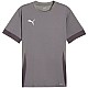 Tričko Puma teamGoal Matchday Jersey M 705747 13