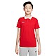Tričko polo Nike Dri-FIT Park Jr CW6935-657